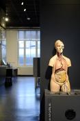 natuurmuseum brabant tilburg 1-2023 6049
